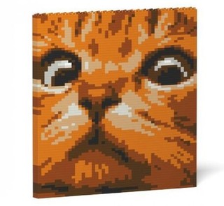  JEKCA 宠物猫狗墙画积木 （橘猫绿眼）