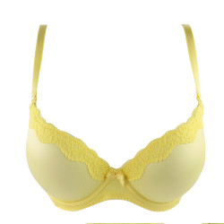 安莉芳旗下E-BRA厚杯蕾丝边内衣性感聚拢文