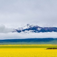 每日一景点：丝绸之路途中壮景，苍茫云海间的天山