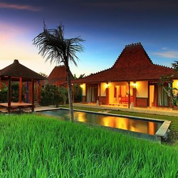 酒店特惠:巴厘岛乌布德天堂佩内斯塔楠别墅1晚