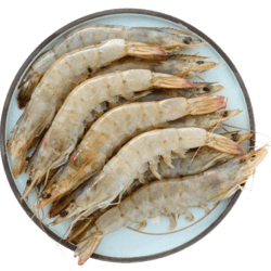 厄瓜多尔白虾冰冻大虾对虾海虾鲜虾青虾海鲜水产基围活虾1.75kg