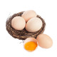 晋龙  鲜鸡蛋  无抗蛋 60枚  约2800g