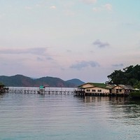 每日一景点：朝着太平洋吹奏的岛歌，象岛的雨林和海