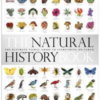 《The Natural History Book 自然史》（英文原版）