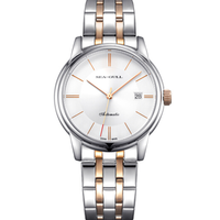 SeaGull 海鸥 商务休闲系列 D817.405 自动机械男士腕表