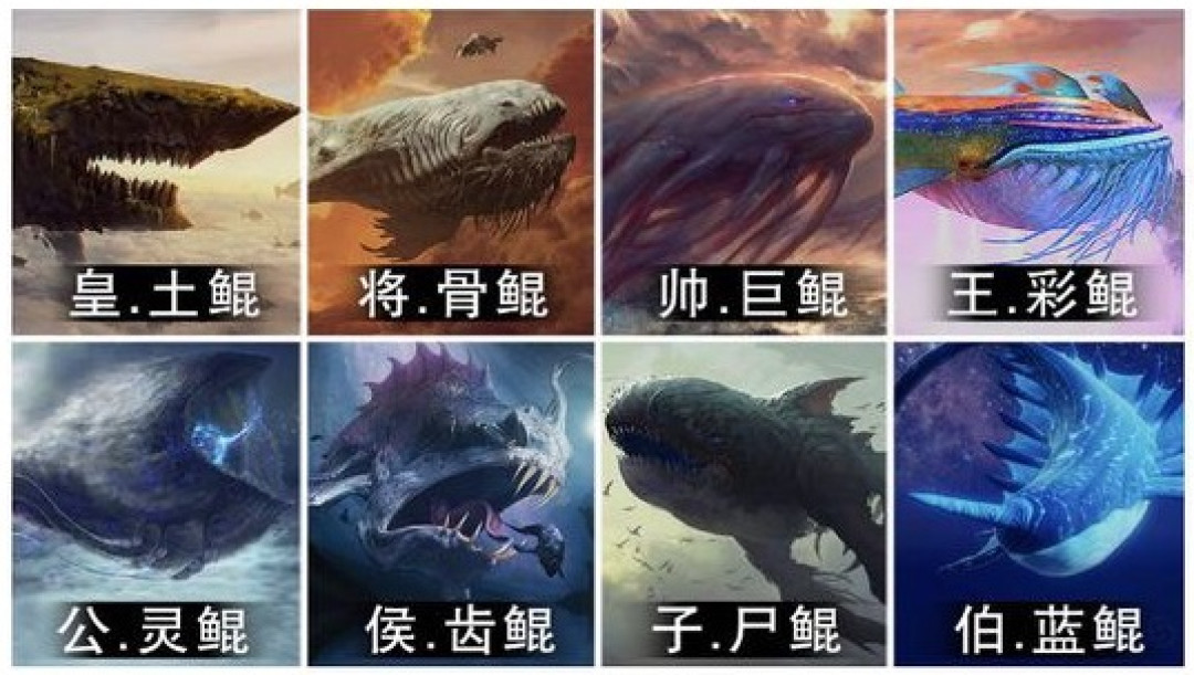 究竟什么是养鲲,厅长告诉你