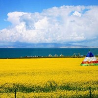 当地参团：西宁-青海湖+茶卡盐湖2天1晚 宿黑马河观日出