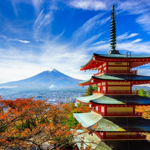 出行必备:材料简化,拒签赔双倍!日本个人旅游签