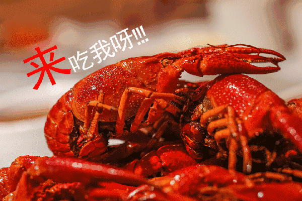 吃货福利深夜美食暴击广州深圳五星酒店自助餐推荐合集