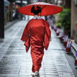 出游必备:广州送签 日本个人旅游签证(单次\/多