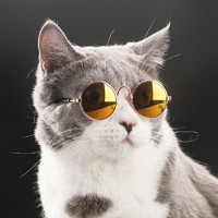 神经猫 宠物 装饰用墨镜