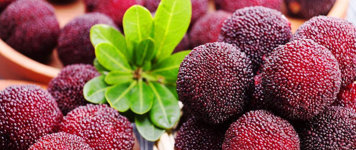  梅雨时节坠满枝杨梅吃法品种推荐