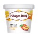 Häagen·Dazs 哈根达斯 酸奶冰淇淋 黄桃风味 100ml *6件