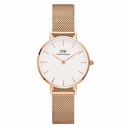 DanielWellington DW00100219 女士时装腕表