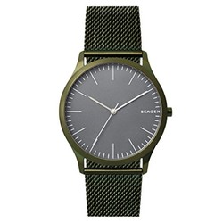 SKAGEN SKW6428 男士时装腕表