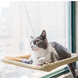 神经猫 宠物猫咪吊床 承重35斤 送玩具老鼠