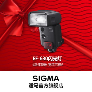 SIGMA 适马 EF-630 DG STTL 闪光灯