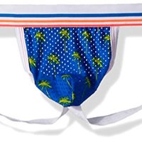 ANDREW CHRISTIAN California Collection Palms Jock 内裤