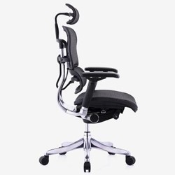 Ergonor 保友 电脑椅 联友人体工学椅子 金豪+精英版 办公网椅