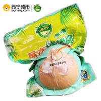 展卉 泰国烧烤椰子 (4个装 单果约400-450g)