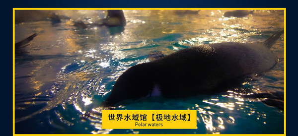 当地玩乐：夜宿海洋馆！台湾垦丁海洋生物博物馆2天1夜亲子游
