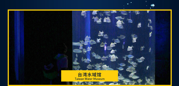 夜宿海洋馆！台湾垦丁海洋生物博物馆2天1夜亲子游