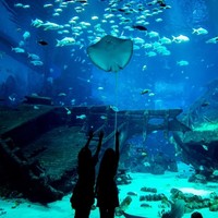 夜宿海洋馆！台湾垦丁海洋生物博物馆2天1夜亲子游