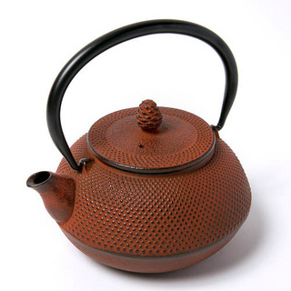 Oigen 及源铸造茶具 Oigen 及源铸造南部铁器系列茶壶 0 6l 报价价格评测怎么样 什么值得买