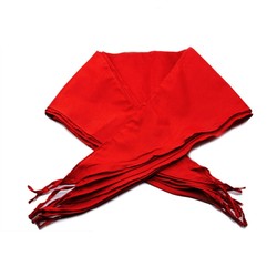 爱卡堂 小学生红领巾 1.2米棉布款 5条装 +凑单品