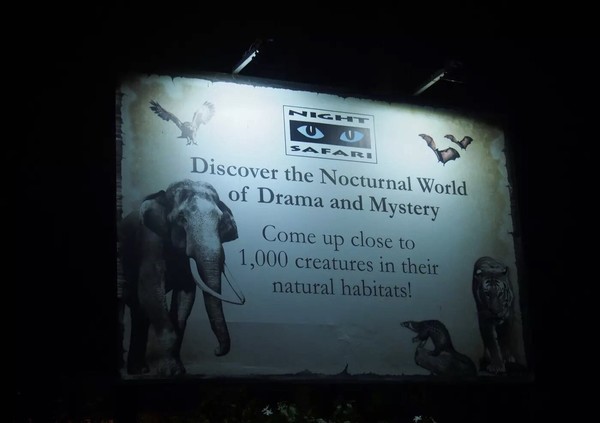 一个考眼力的夜间野生动物园：新加坡Night Safari