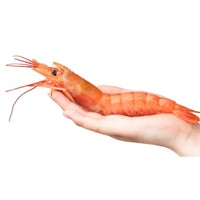 历史低价：OCEAN FAMILY 大洋世家 阿根廷红虾(L1) 2kg 10-20只/kg