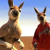 #原创新人#什么时候买机票最便宜,秘诀都在这