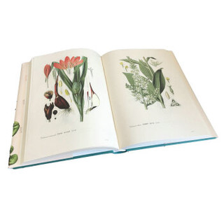 《托梅教授的植物图谱》（套装共2册）