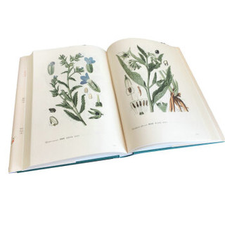 《托梅教授的植物图谱》（套装共2册）
