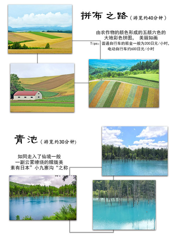 北海道花季 拼布之路 青池 四季彩之丘 富田农场拼车1日游多少钱 什么值得买