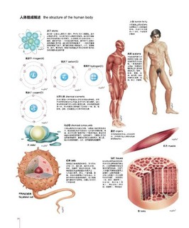  《人体图谱:解剖学、组织学、病理学》