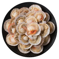 citilink 协东盛 冷冻 半壳扇贝 (500g,20-25枚)