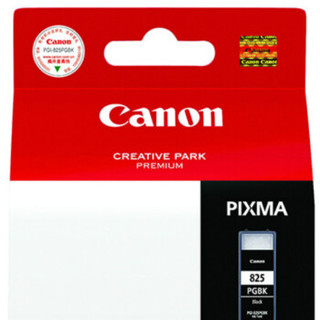 Canon 佳能 PGI-825 BK 黑色墨盒（适用MX898、MG6280、iP4980、iX6580）