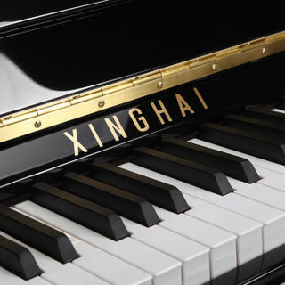 【xinghai/星海钢琴】xinghai 星海 e系列 e-123le 立式钢琴(带缓降)