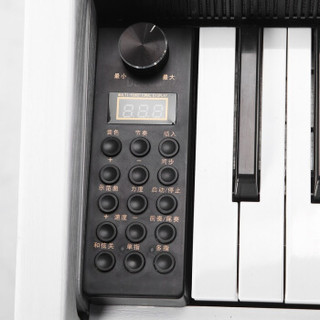 Xinghai 星海 D800 数码智能电子钢琴（黑色）