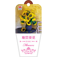 DS 北京东升种业 花卉种子 观赏葵花 20粒