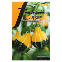 花儿朵朵 瓜果种子 小淘气葫芦 20粒