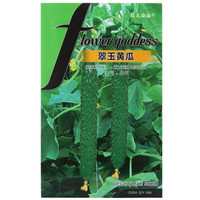 花儿朵朵 蔬菜种子 翠玉黄瓜 30粒