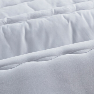 佳佰 床垫 床褥 褥子加厚（可选薄款/加厚/耐脏防滑） 双人 180*200cm 适用1.8米双人床