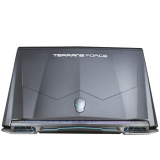 TERRANS FORCE 未来人类 T500 15.6英寸笔记本电脑(i7-8750h、16GB、256G+1T、