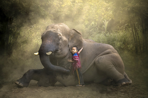 体验象夫生活！泰国清迈KerChor大象生态公园 （中文服务）