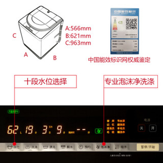  Panasonic 松下 XQB80-H8252 8公斤 全自动波轮洗衣机