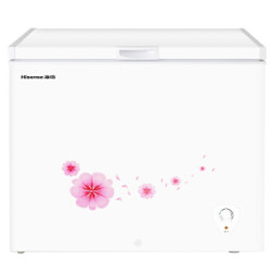 Hisense 海信 BD/BC-203N/A 單門冷柜 203升