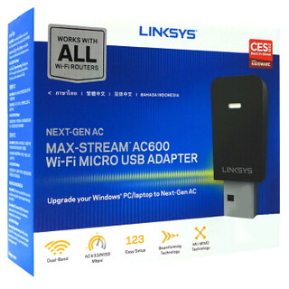 LINKSYS 领势 WUSB6100M-AS 双频无线网卡