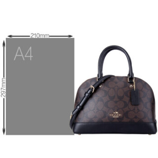 COACH 蔻驰 Sierra系列 F27583 女士斜挎包